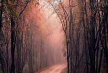 NG28：凯塞多本场9对抗8成功+4抢断3造犯规 3成功长传 获评7.8分.