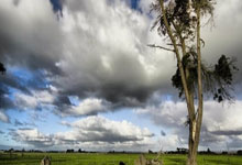 NG28：[德甲]勒沃库森绝杀迎德甲开门红.