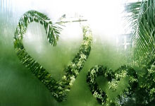 37岁C罗第5次征战世界杯 鼓舞全队：加油葡萄牙!.