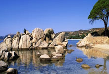 国足新一期大名单公布：伊万继续挂帅 武磊带伤入选.